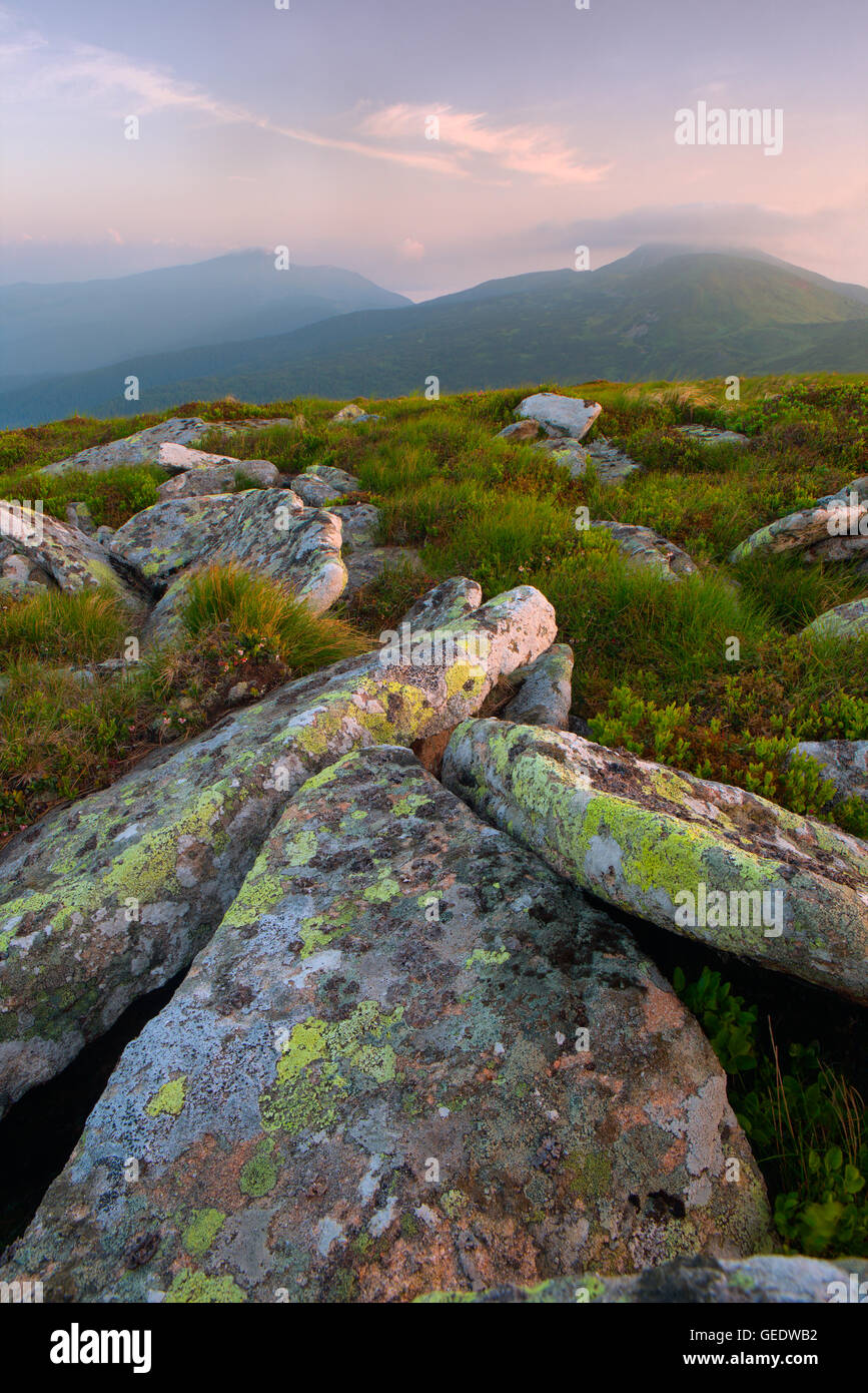 large flat stone relief in the foreground at dawn. Carpathian mountains Stock Photo