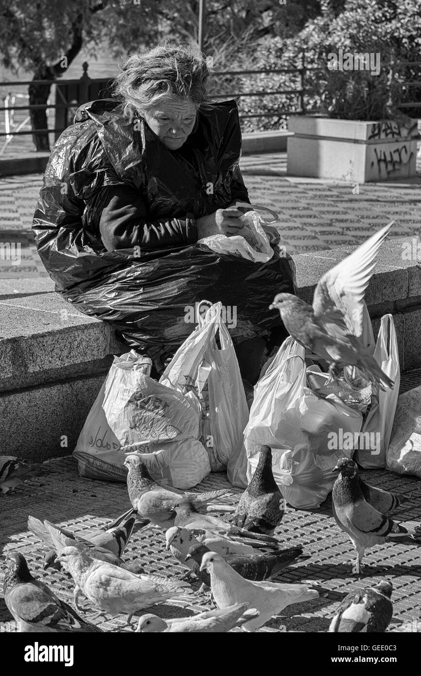 Bag-lady feeding pigeons, Paseo Alcalde Marqués de Contadero, Sevilla, Andalucía, Spain.  Black and white version Stock Photo