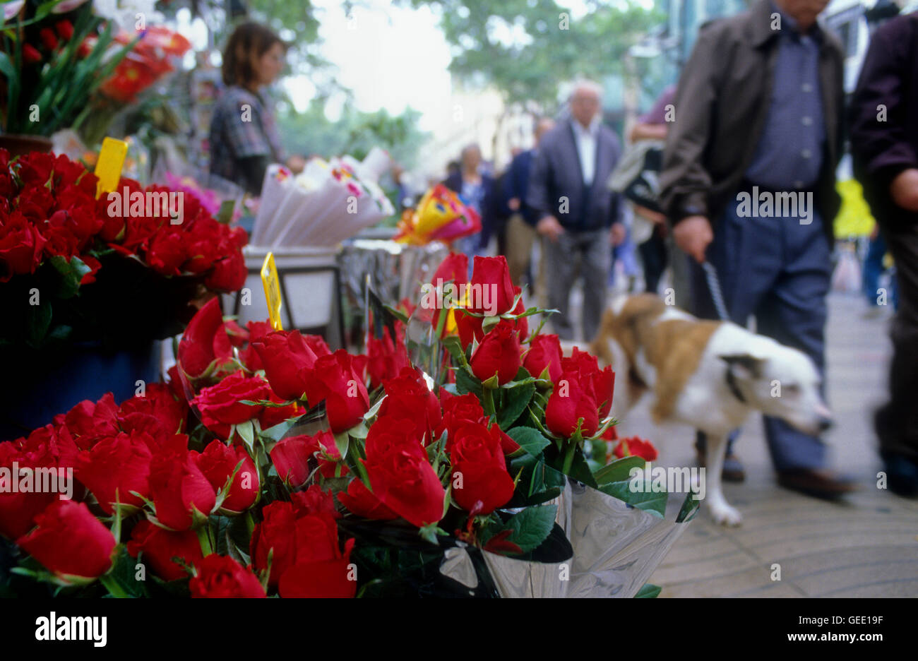 Barcelona Las Ramblas. Flower shop Stock Photo Alamy