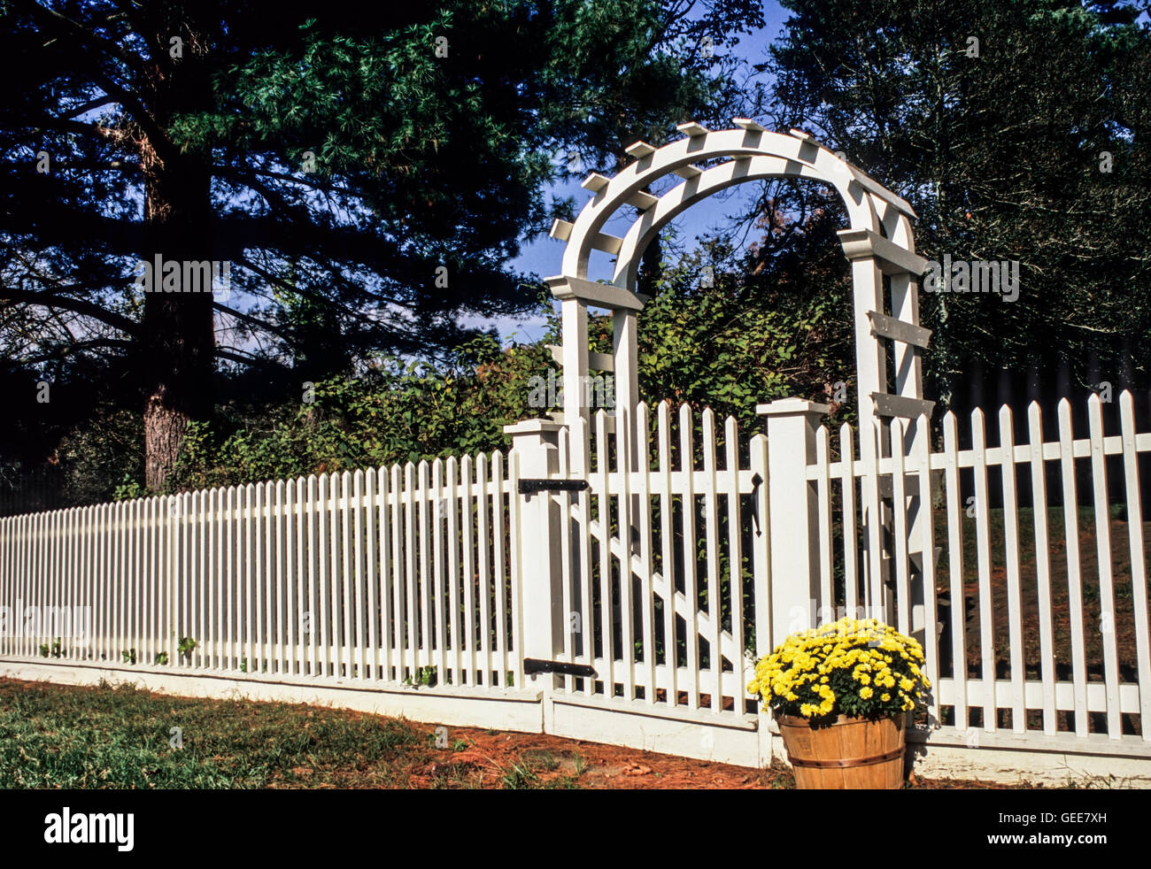 White Picket fence, arbor and chrysanthemums in a basket, Monmouth county, New Jersey, USA, garden gate vine border flowerbed farm entrance, FS10.61mb Stock Photo