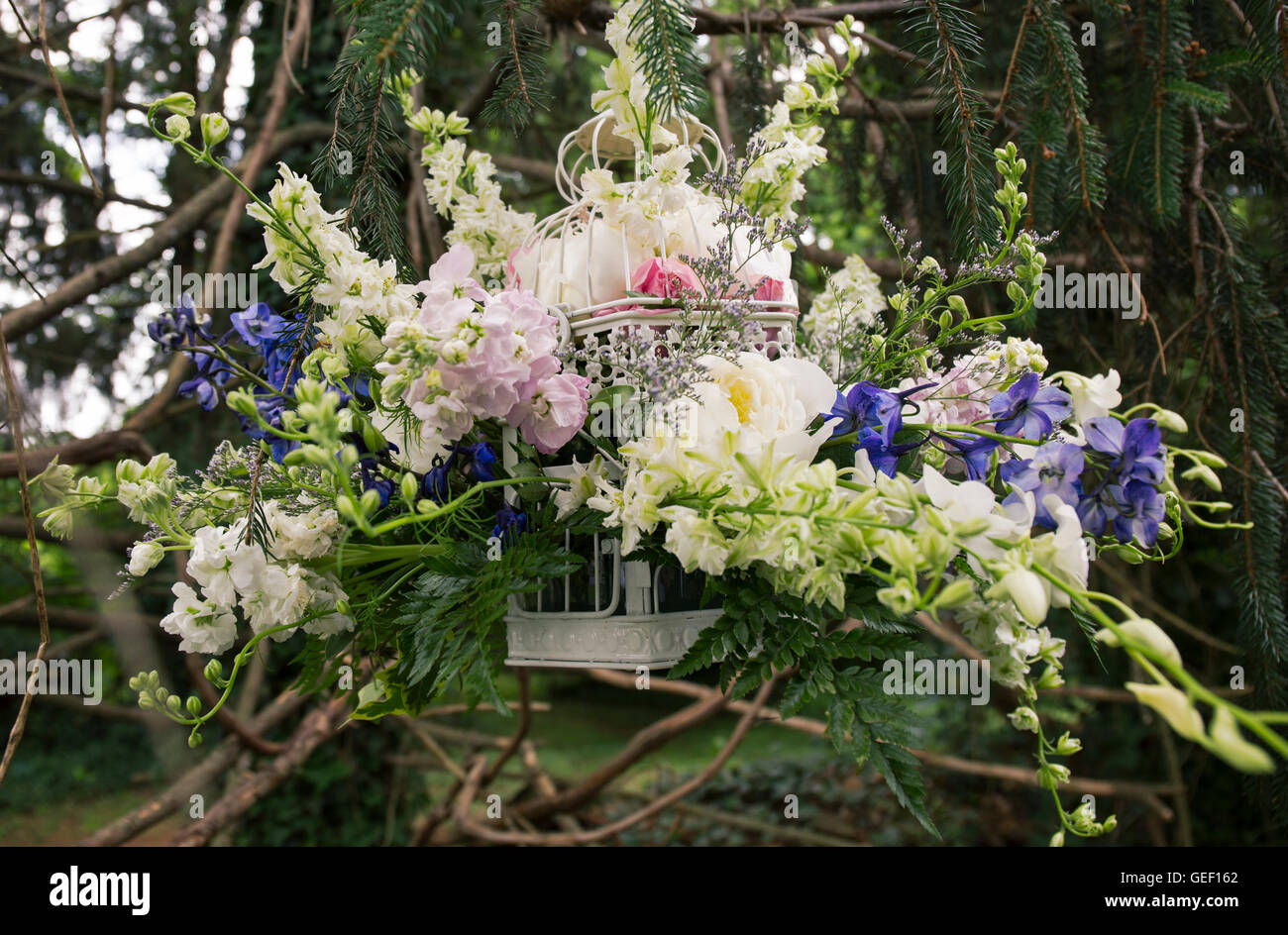 Flower arrangement hanging in a tree Stock Photo - Alamy