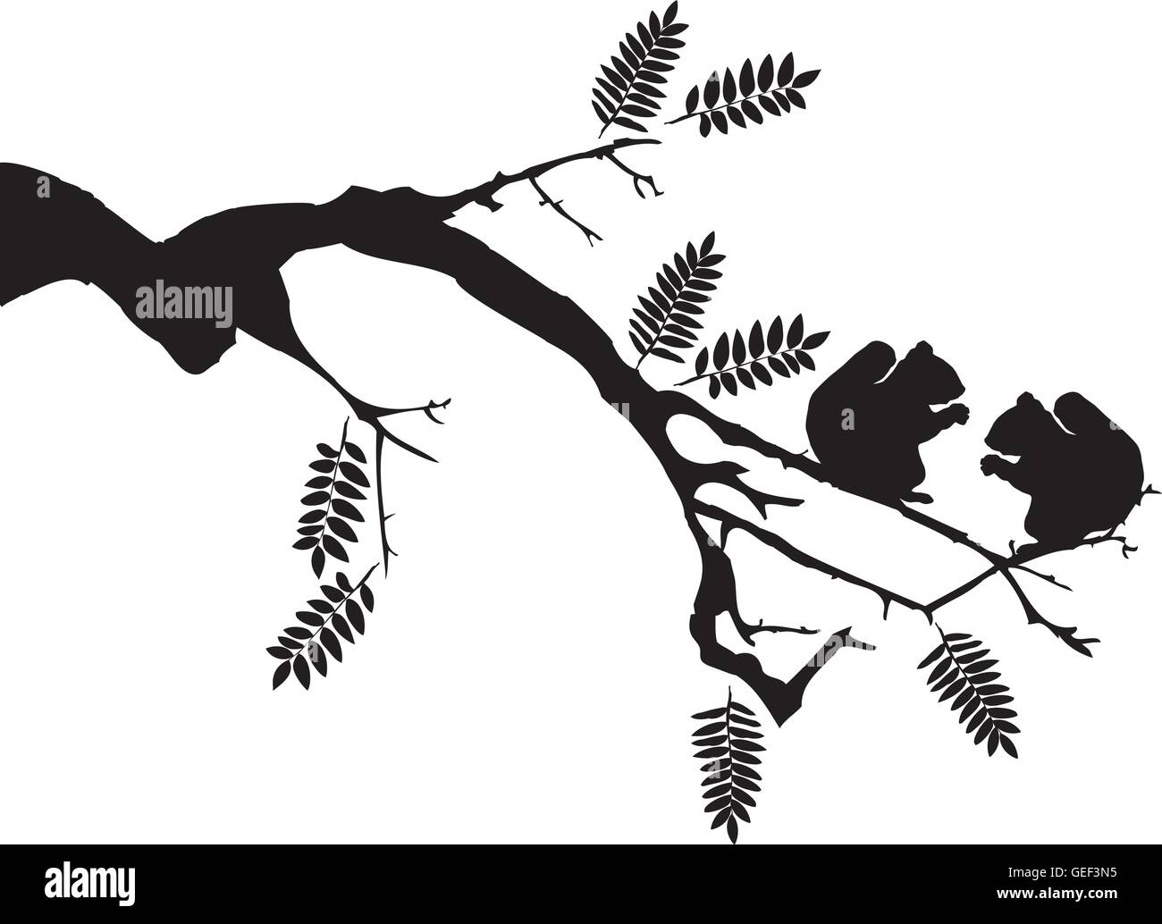 vector illustration of two squirrels in the tree Stock Vector Image