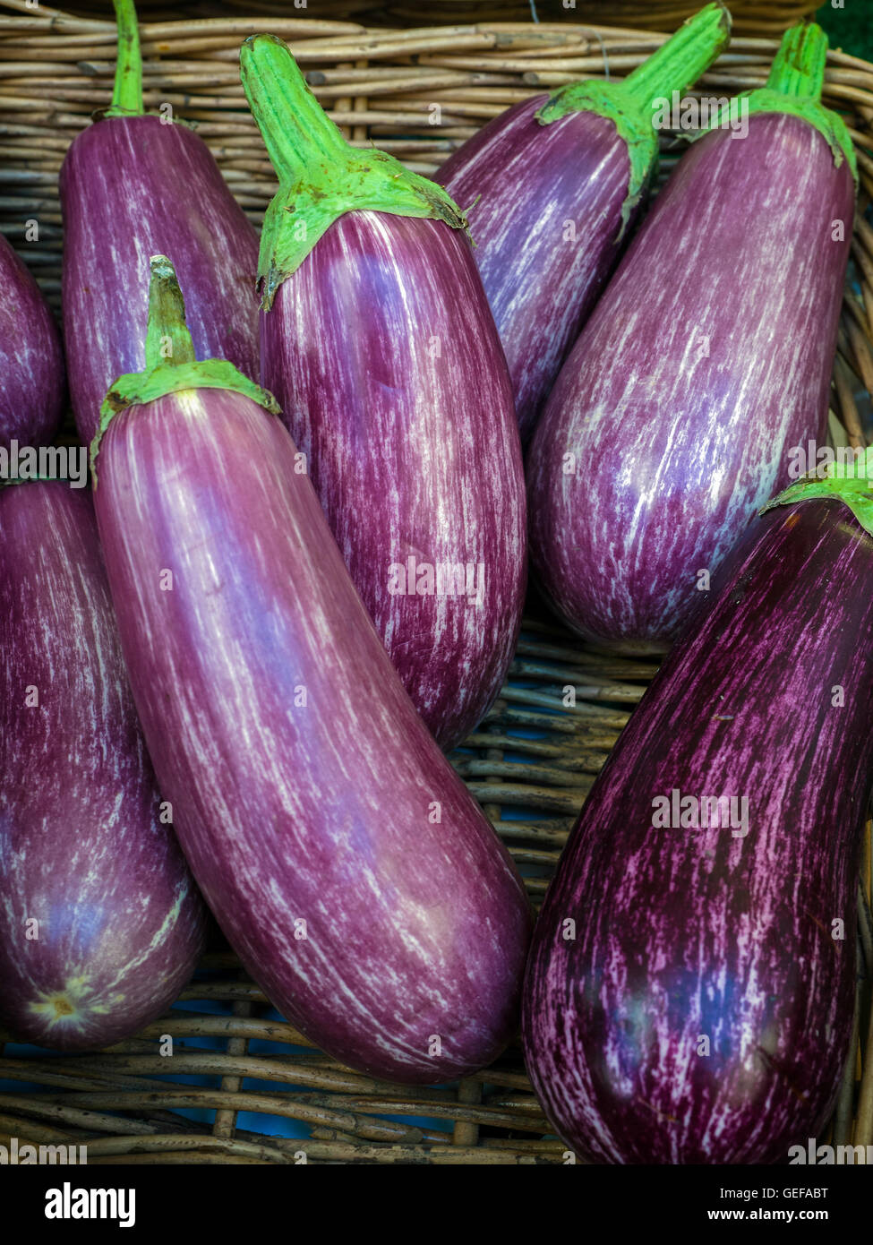 Group of Ripe Aubergines for Sale Stock Photo Alamy