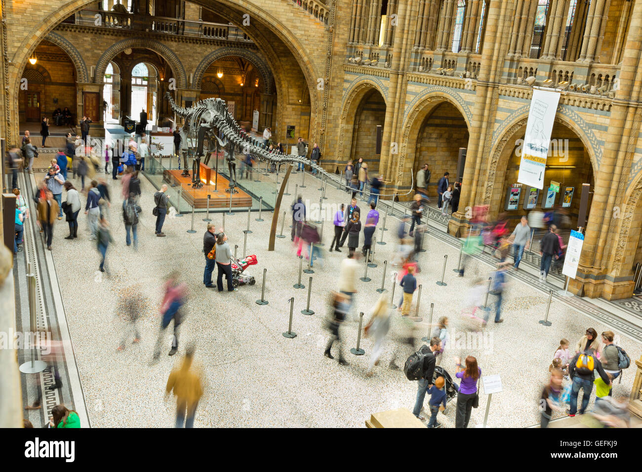 LONDON, UK - APRIL 28 2013: Visitors in the main entrance hall at London's  Natural History Museum. Stock Photo