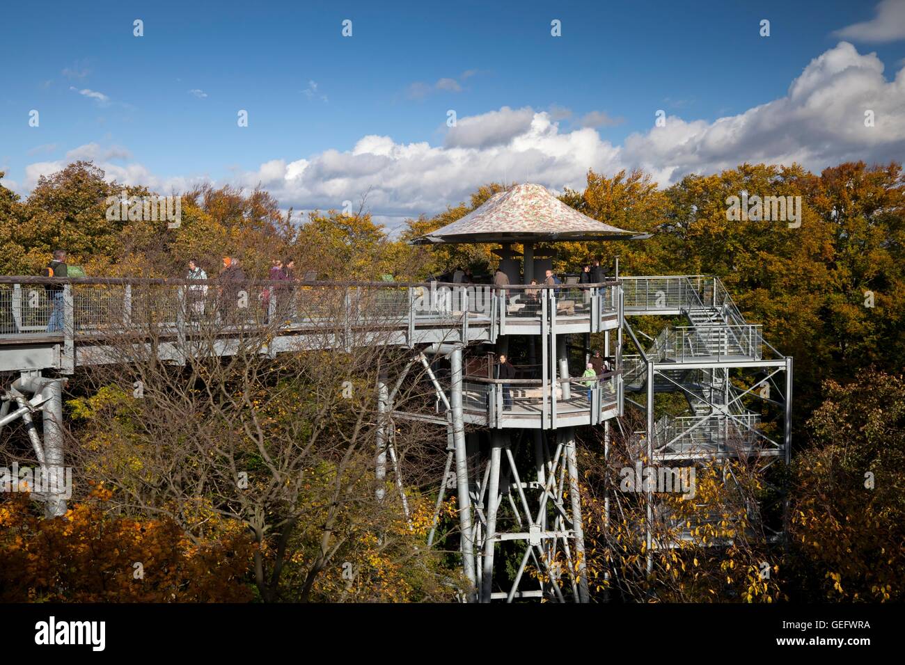 Treetop trail, Hainich National park, Thuringia Stock Photo