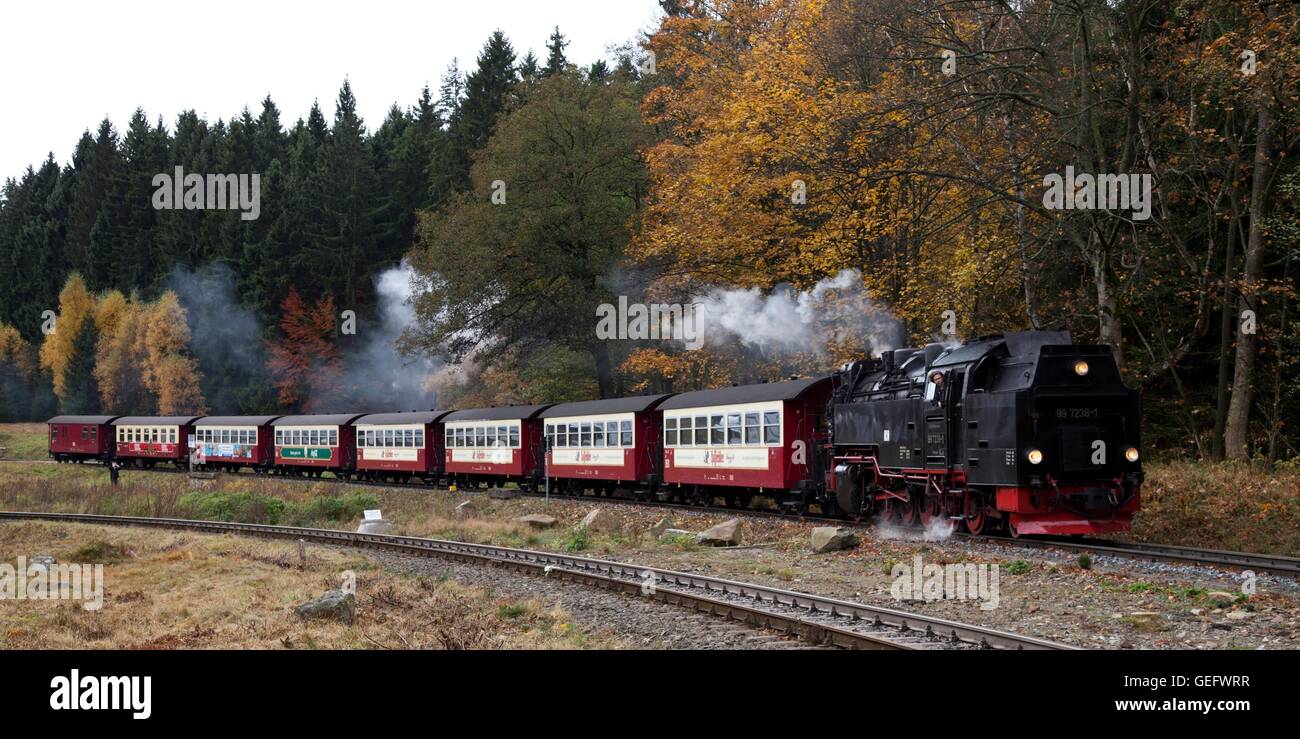 Trans-Harz Railway, Harz Mountains Stock Photo