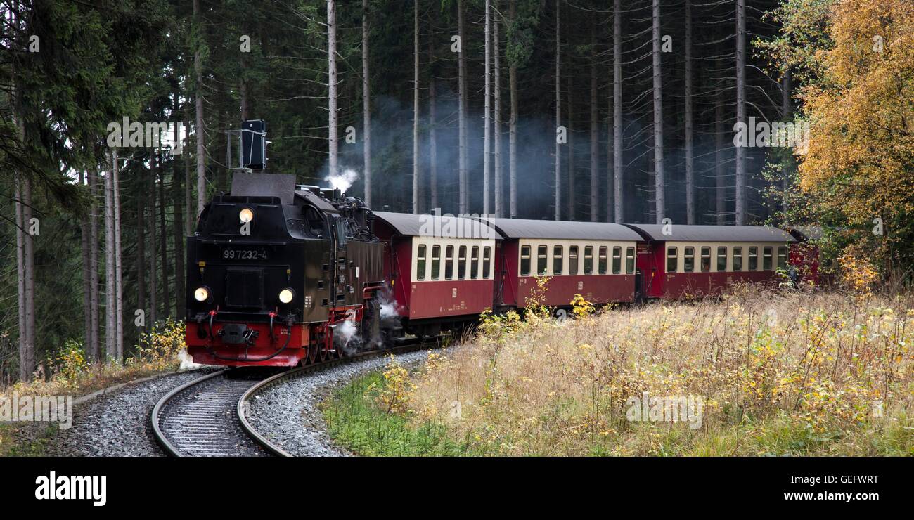 Trans-Harz Railway, Harz Mountains Stock Photo