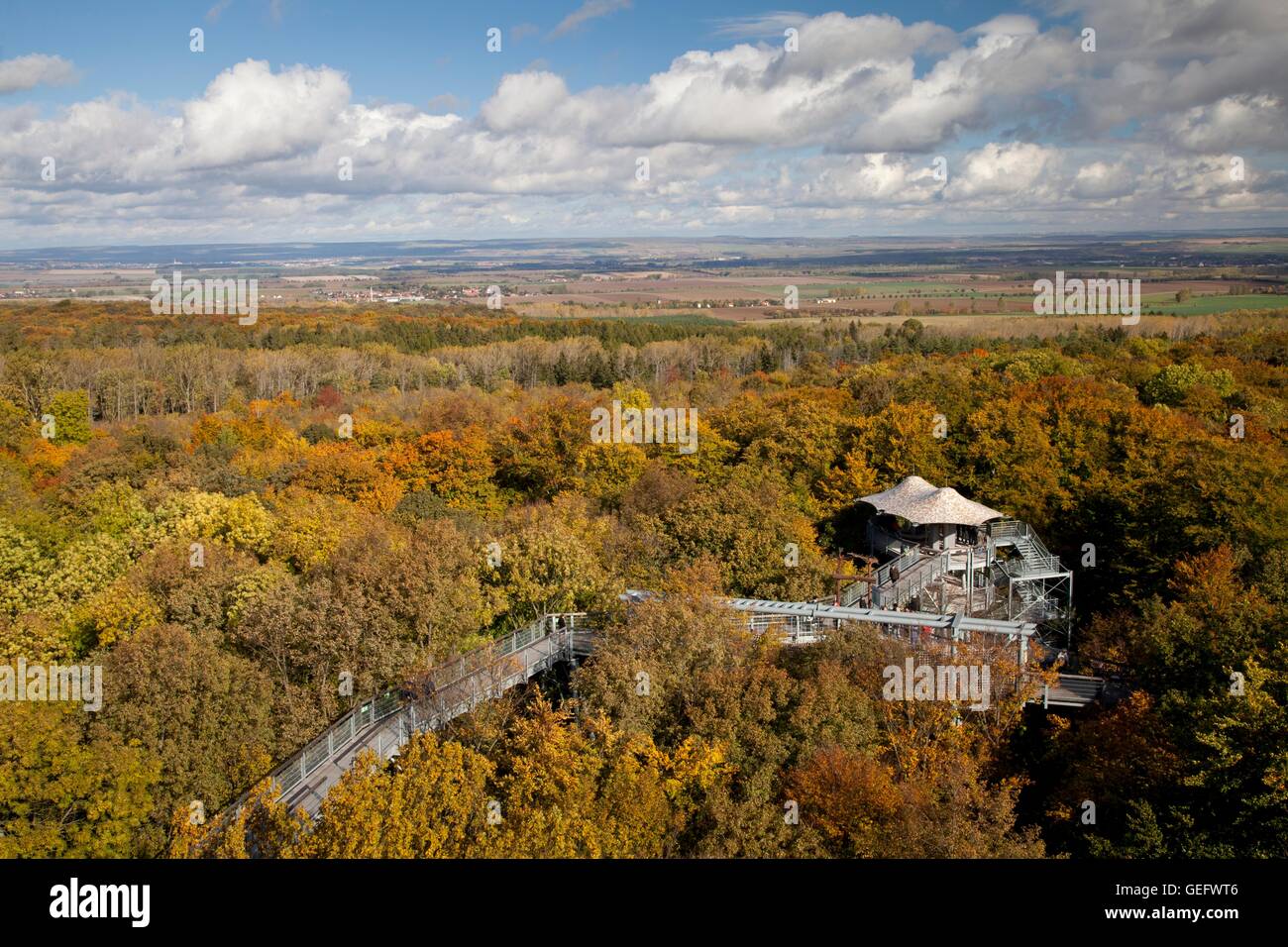 Treetop trail, Hainich National park, Thuringia Stock Photo