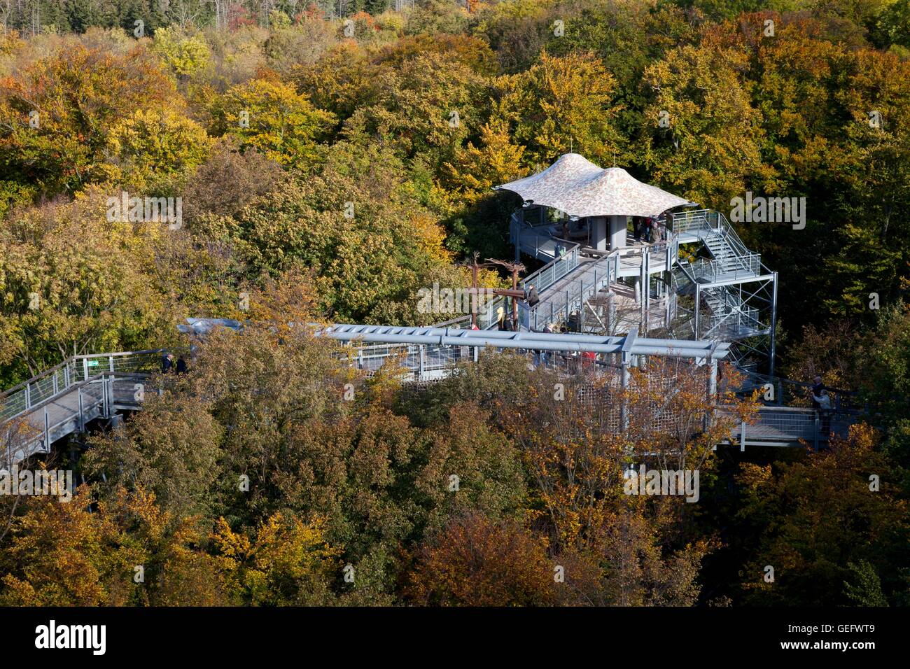 Treetop trail, Hainich National park, Thuringia Stock Photo
