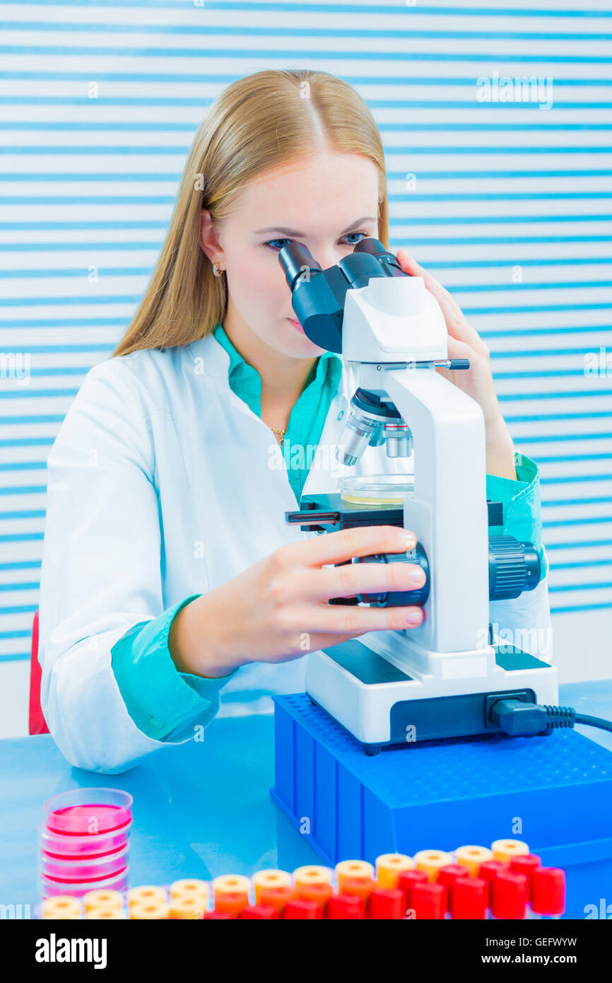 Young woman witch blonde long hair testing blood on RBC, HGB and HCT. laboratory bench which blood sample and microscope Stock Photo