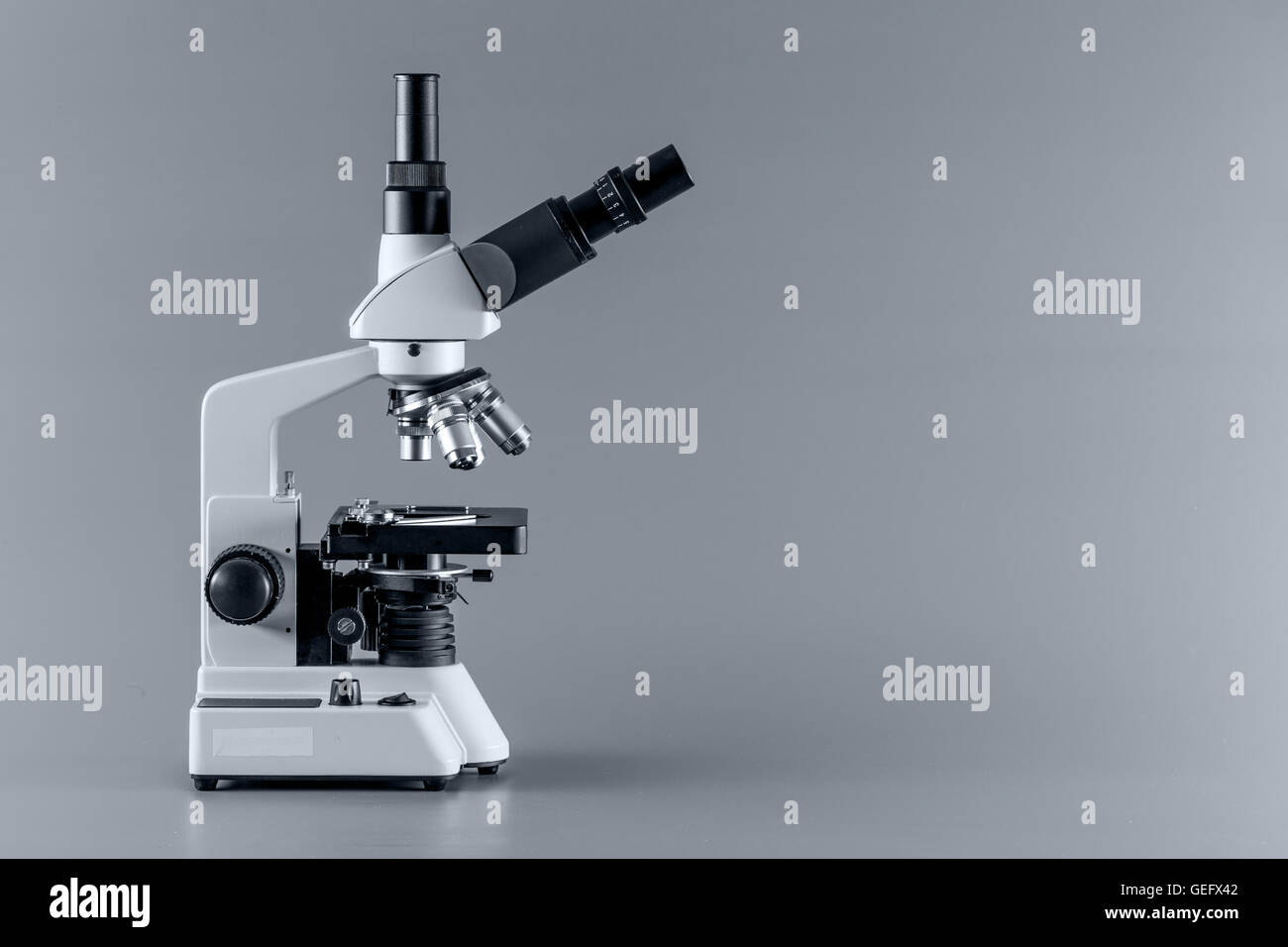 Trinocular microscope hi-res stock photography and images - Alamy