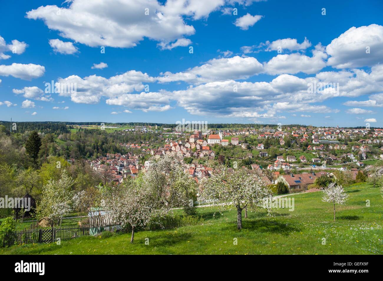 Altensteig, Black Forest Stock Photo