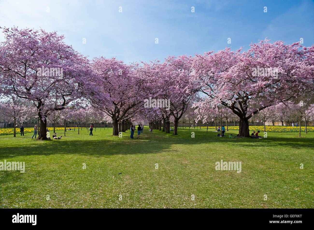 Schwetzingen Castle, Baden-Wuerttemberg Stock Photo
