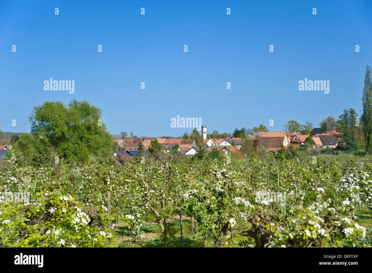Oberhausen, Rhineland-Palatinate Stock Photo