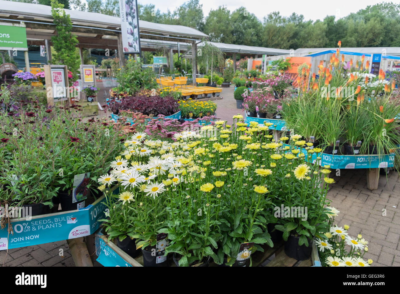 Dobbies hires stock photography and images Alamy