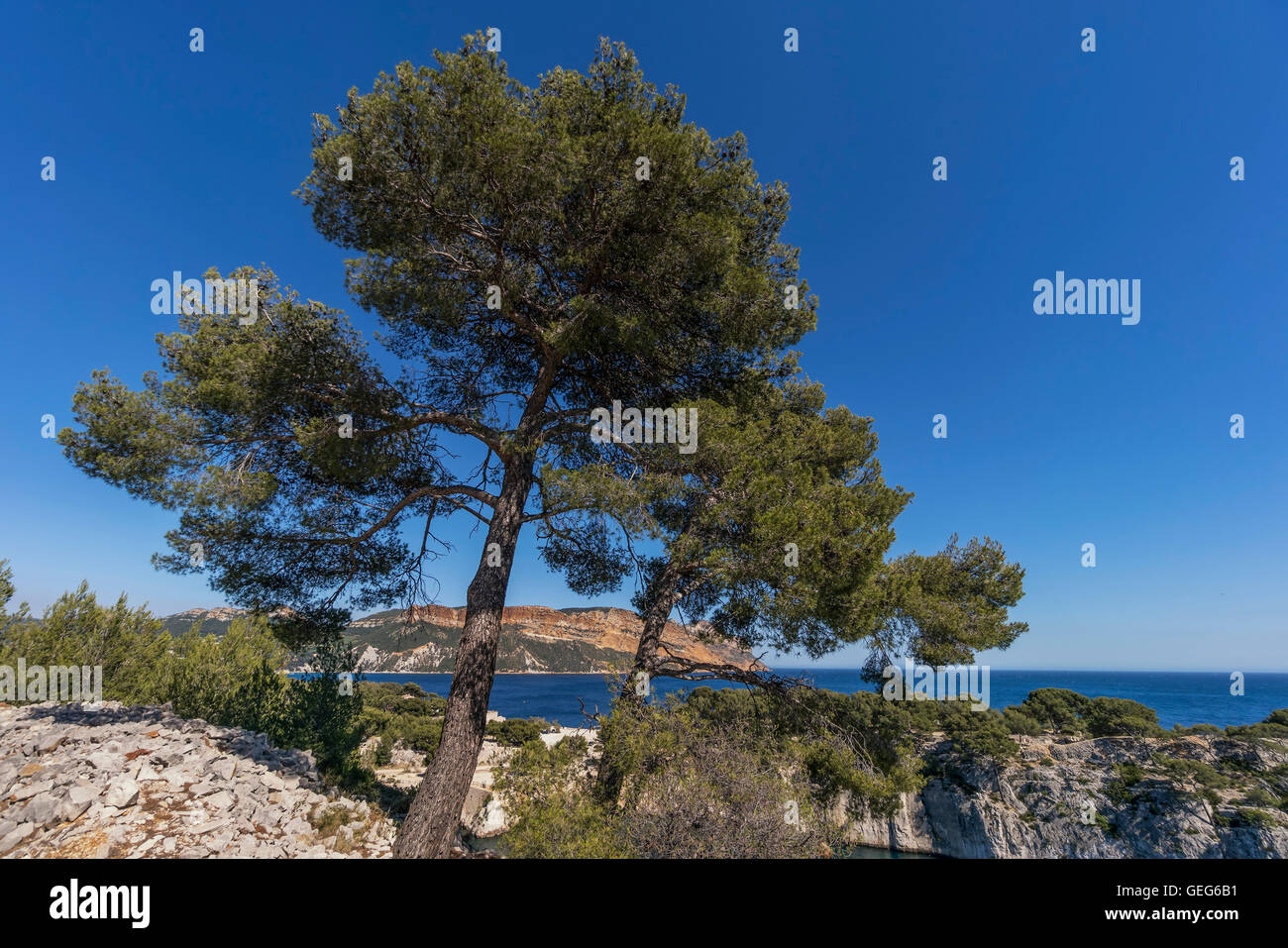 Port Miou, Calanques, Cliff, Cassis,  Provence, France Stock Photo