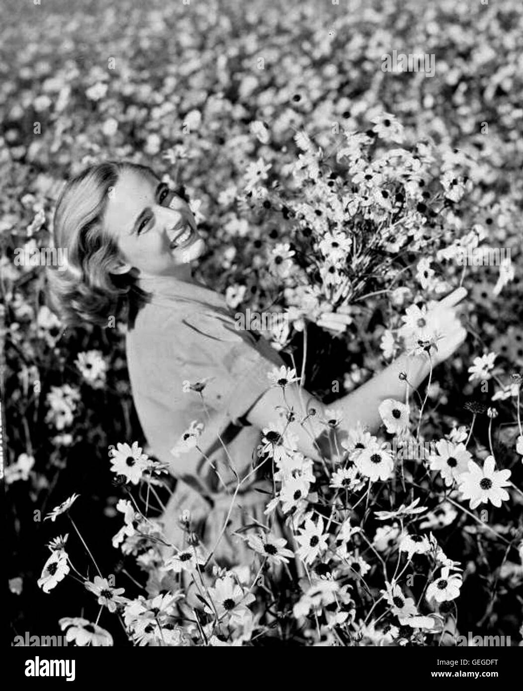 Lois Duncan Steinmetz in a field with daisies in Taos, Stock Photo