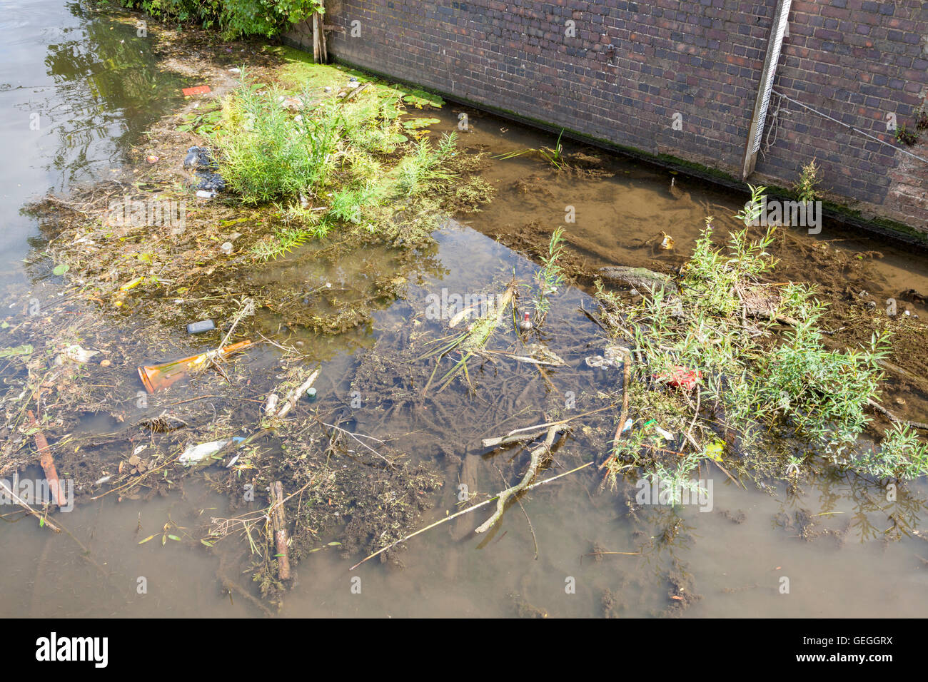 Water pollution. Rubbish in the disused and overgrown Grantham Canal, West Bridgford, Nottinghamshire, England, UK Stock Photo