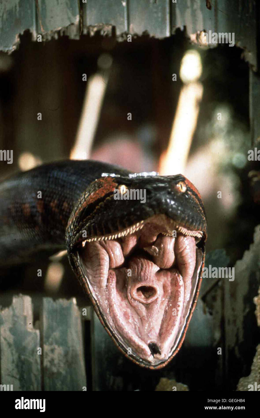 Anaconda Movie