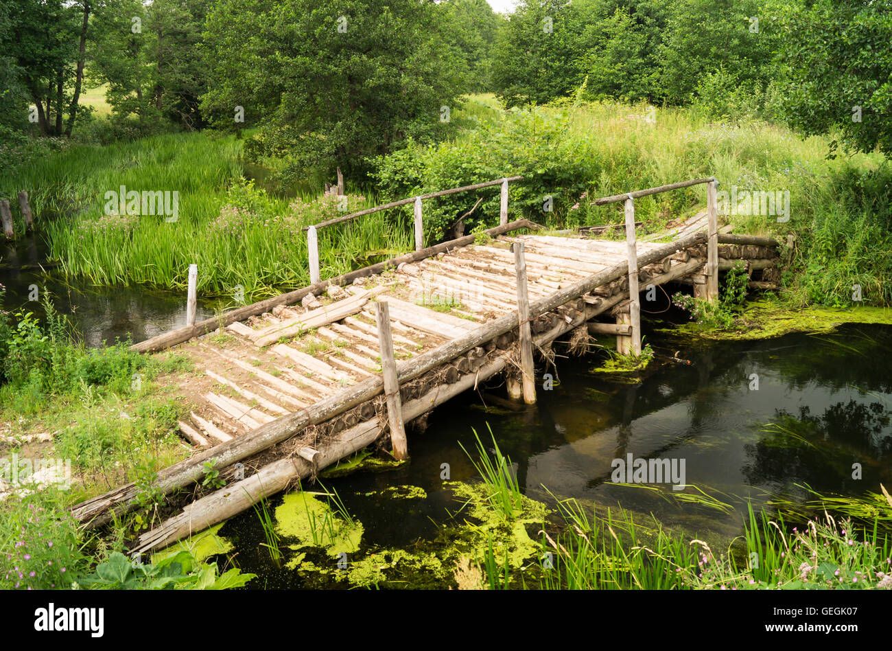 Old wooden bridge through stream in green wood Stock Photo - Alamy