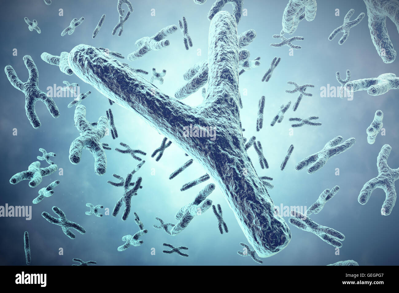 X and y human chromosomes hi-res stock photography and images - Alamy