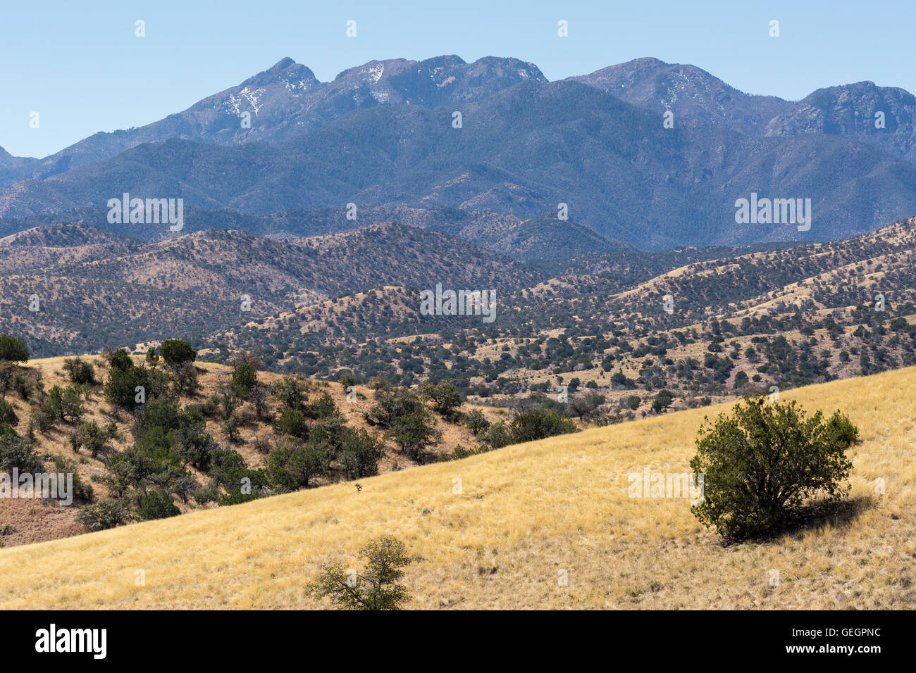 The northern Santa Rita Mountain foothills below Mount Wrightson