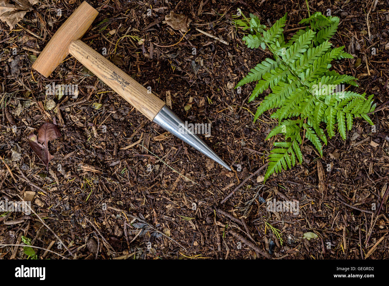 Garden dibber gardening tool hi res stock photography and images