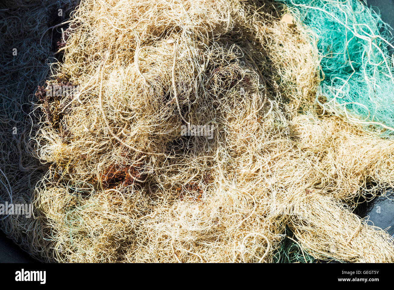 Shrimp nets hi-res stock photography and images - Page 5 - Alamy