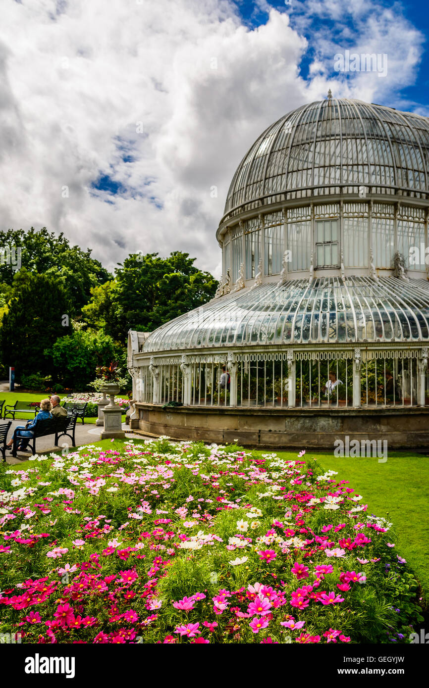 Side view of the Palm House in Belfast's iconic Botanic Gardens near Queens University. Stock Photo