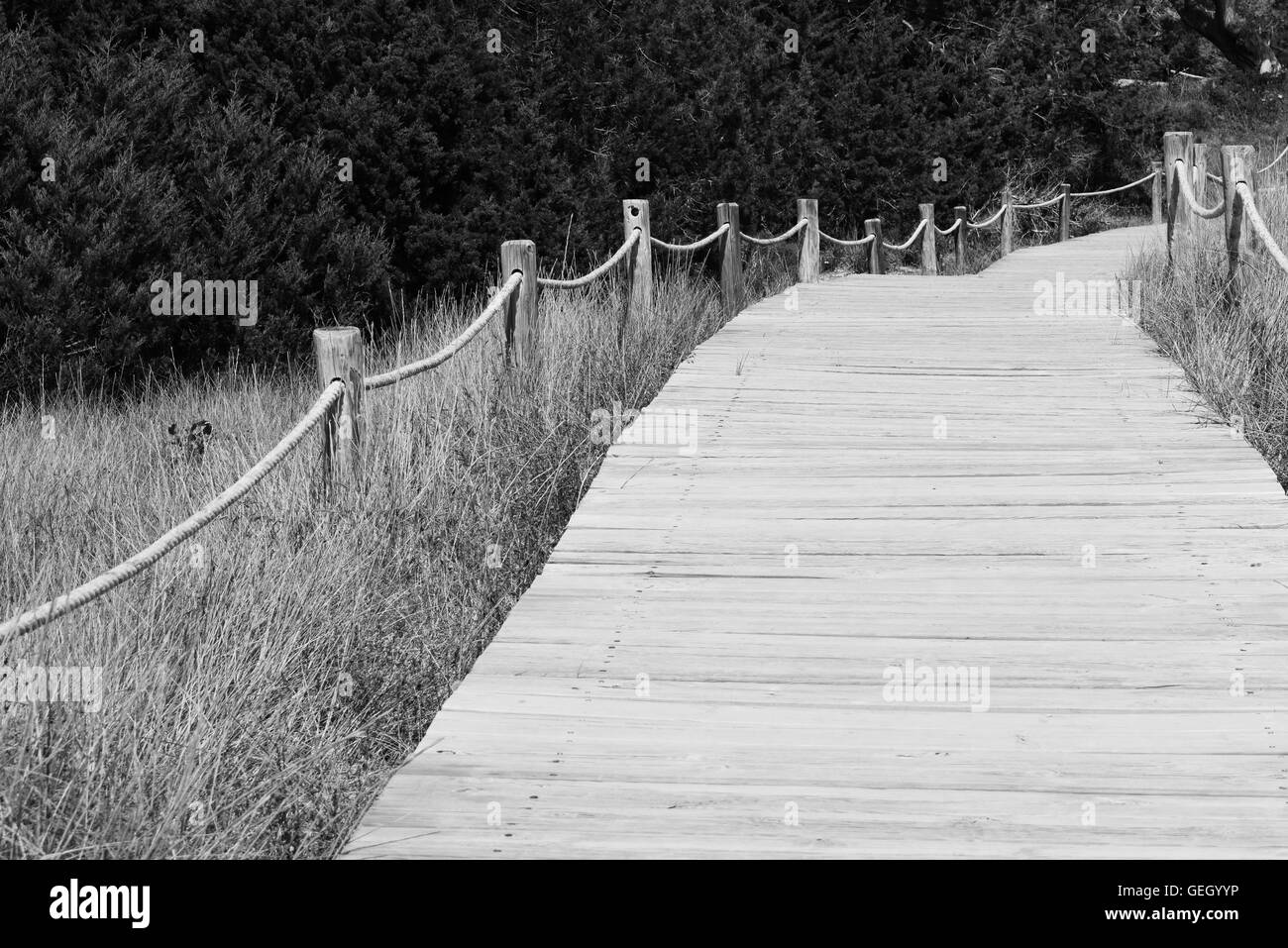 Black and white photography of wooden boardwalk Stock Photo