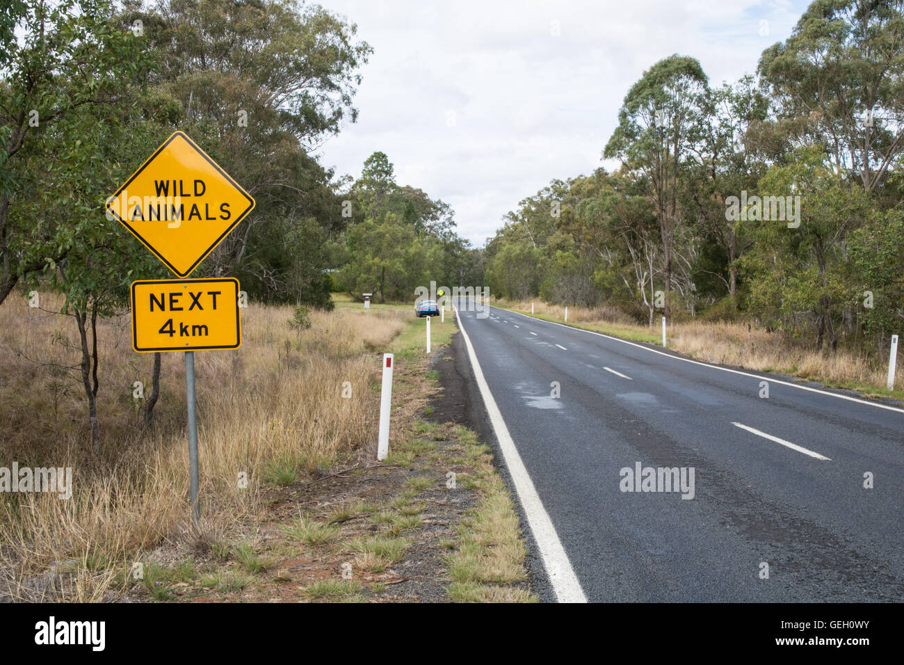 Sign Warning Drivers to be aware of Wild Animals crossing road.South east Queensland Australia Stock Photo