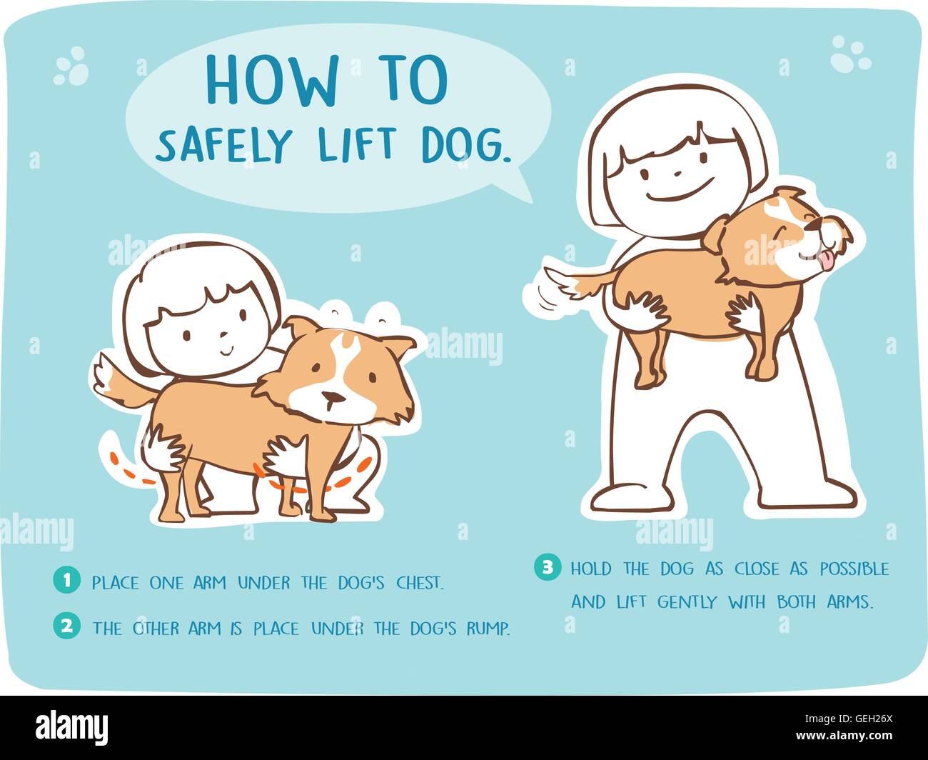 Demonstrate how to safely lift dog cartoon style vector Stock Vector ...