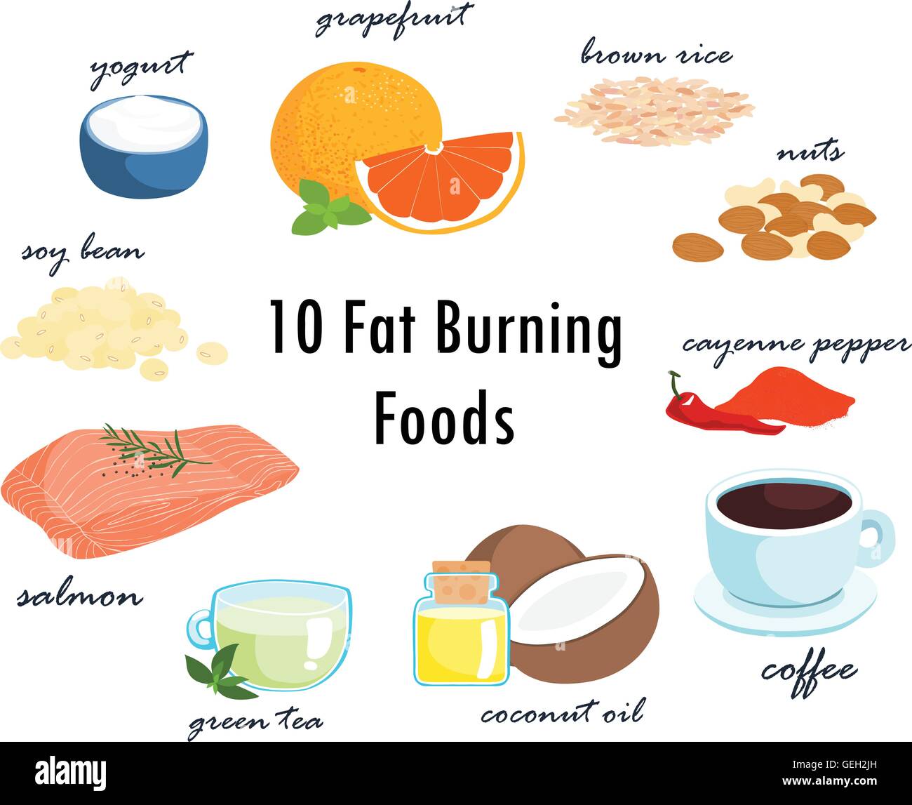 most foods can fat burning top ten item vector illustration Stock Vector  Image & Art - Alamy