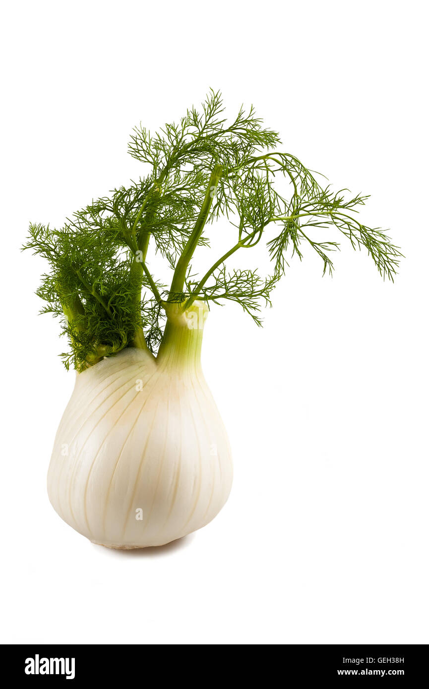 Biological fennel isolated on white Stock Photo Alamy