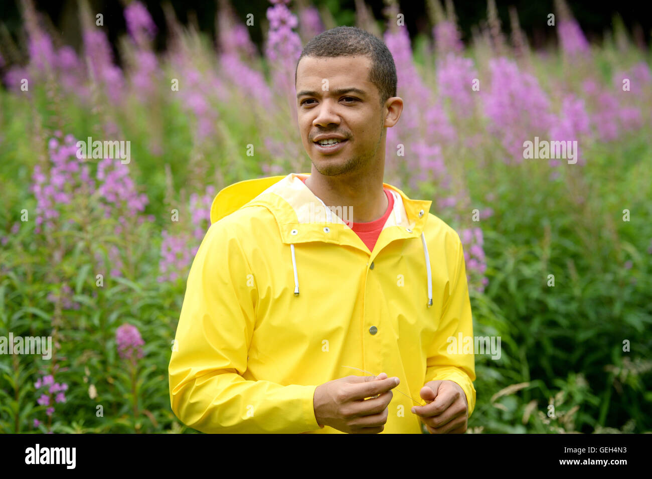 Actor raleigh ritchie hi-res stock photography and images - Alamy