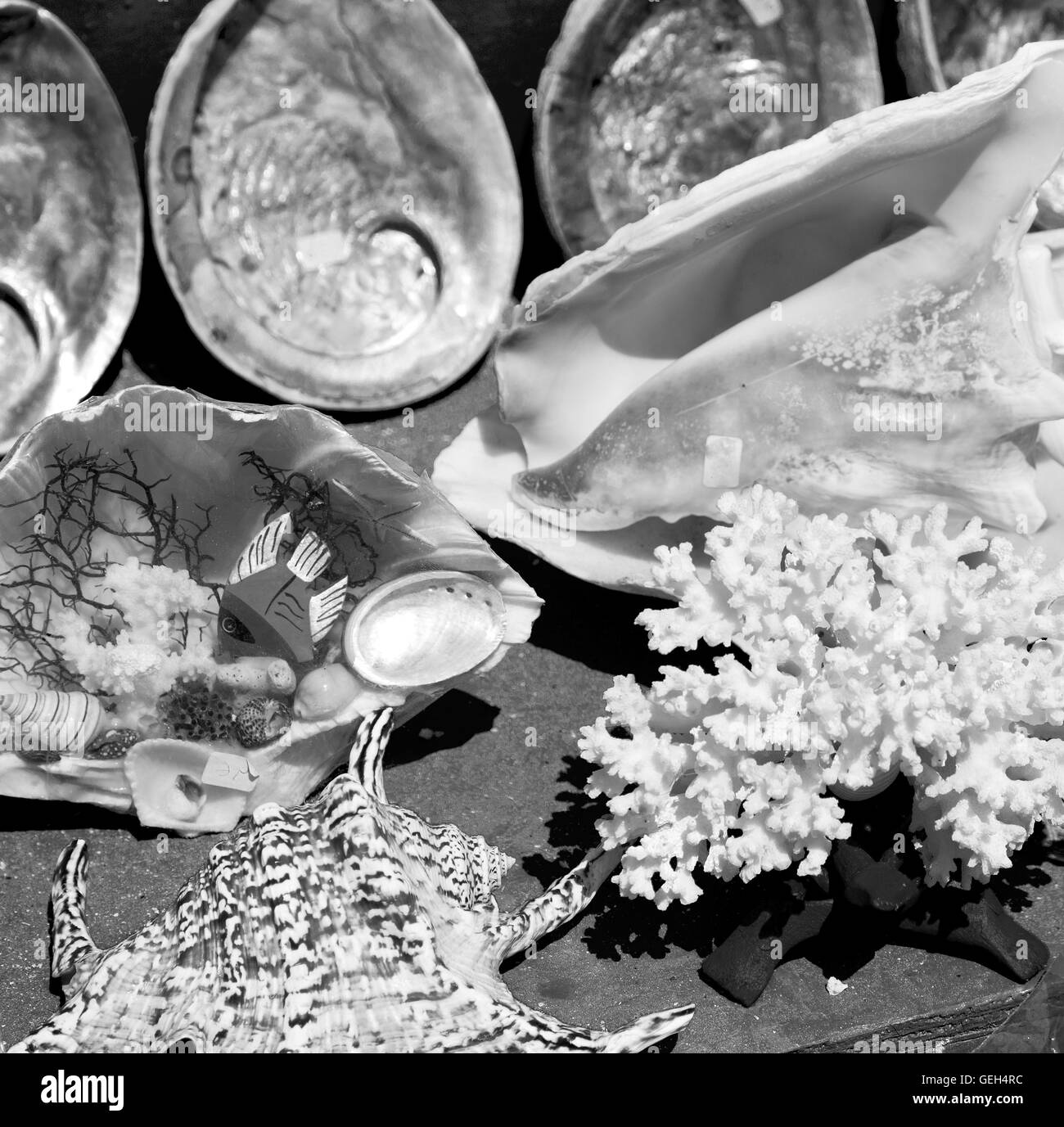 full in market old table shell and sealife in sale Stock Photo - Alamy