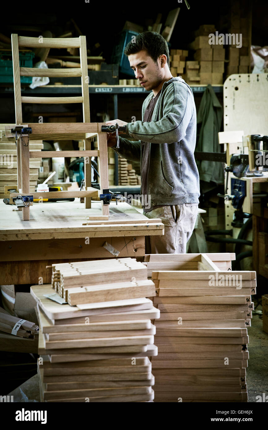 A man working in a furniture maker's assembling a chair Stock