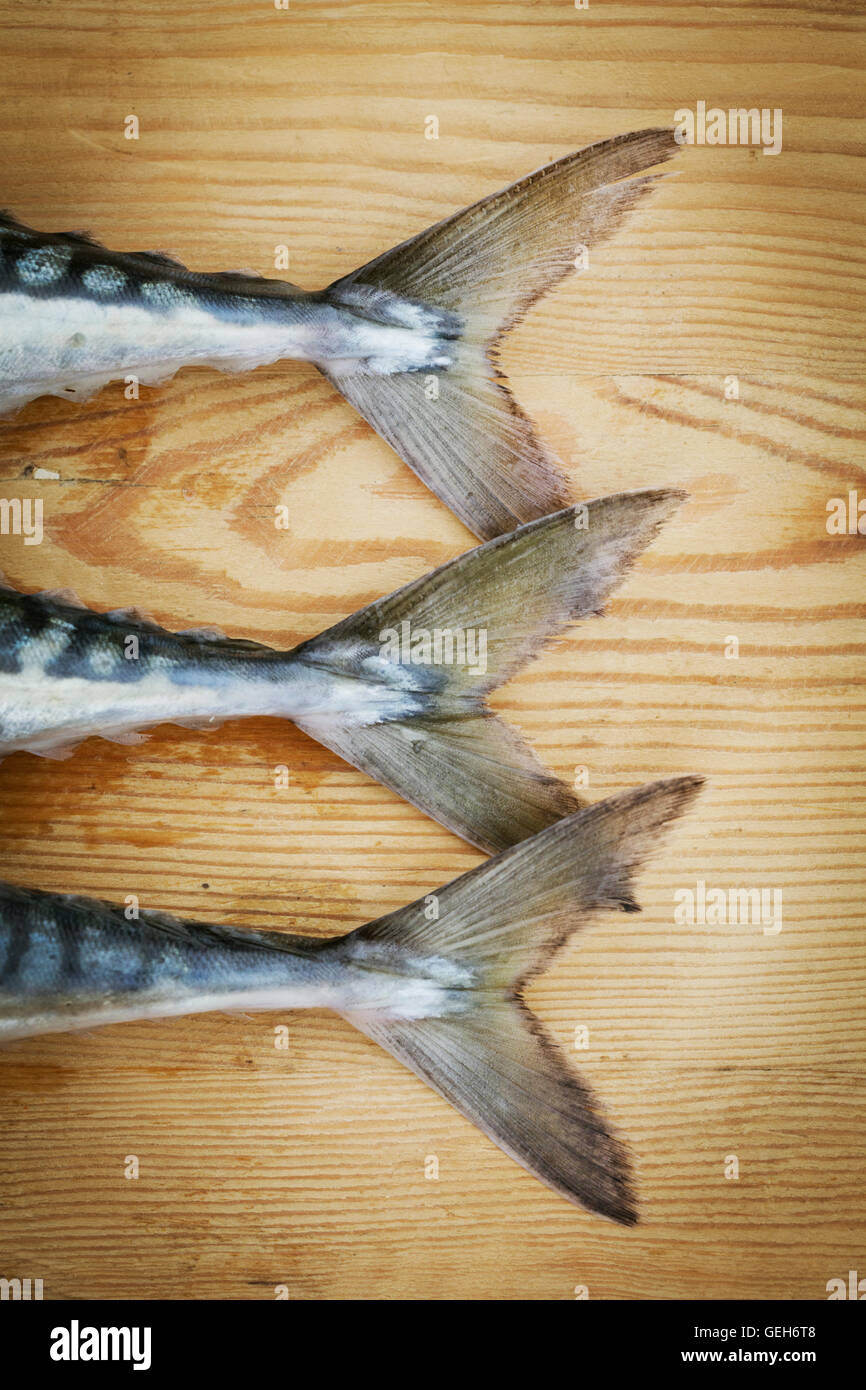 Close up of three fresh Mackerel lying on a chopping board, detail of tail. Stock Photo