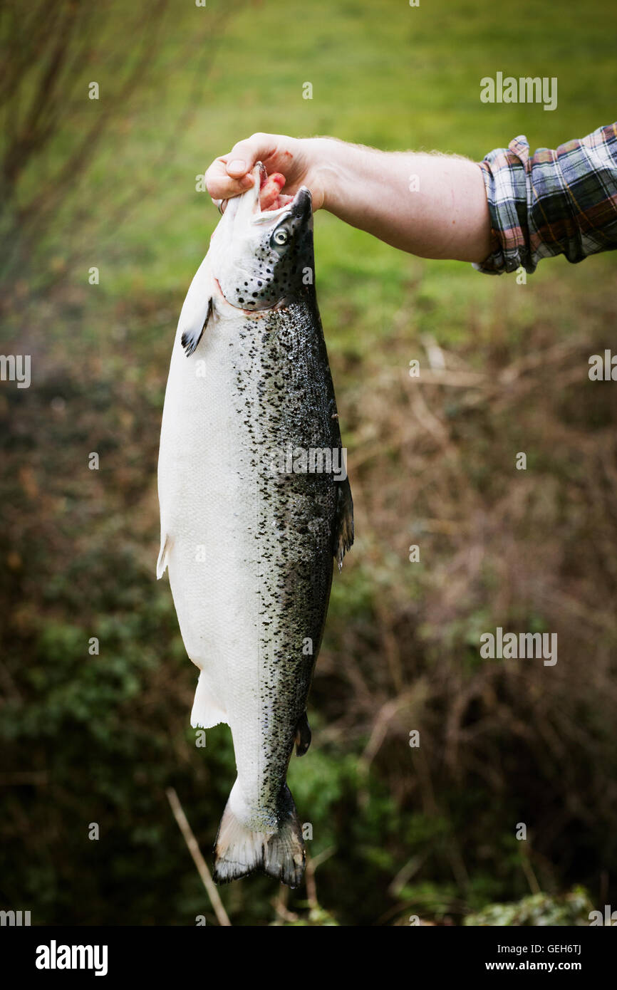 Man eating fish hi-res stock photography and images - Alamy