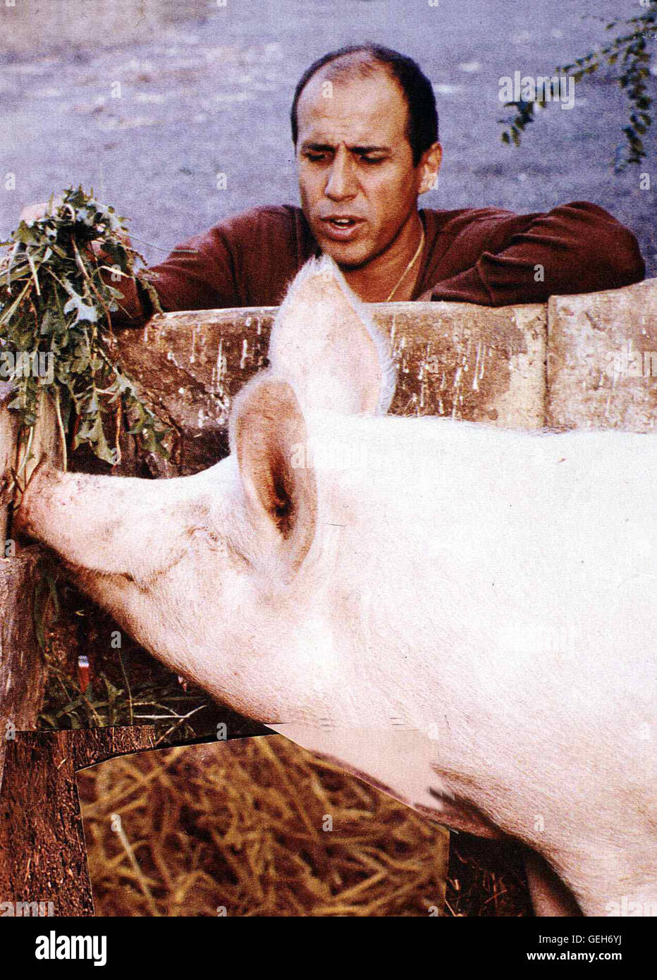 Adriano Celentano Elia (Adriano Celentano) unterhaelt sich lieber mit Schweinen als mit Frauen Adriano Celentano Elia (Adriano Celentano) unterhaelt sich lieber mit Schweinen als mit Frauen