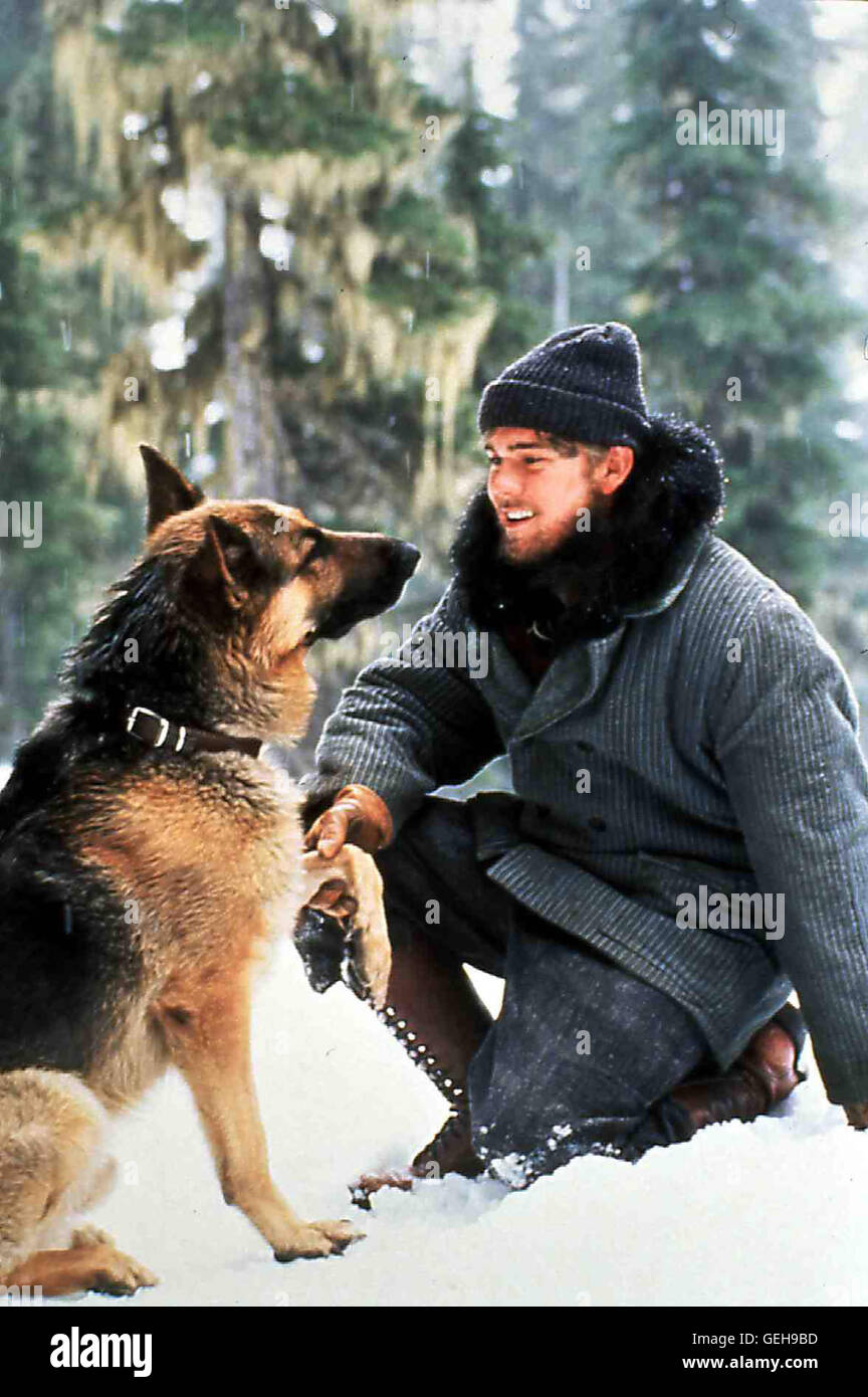 Ricky Schroder John (Richy Schroder) mit seinem treuen Gefaehrten  Schaeferhund Buck. *** Local Caption *** 1992, Call Of The Wild, Der Ruf  Der Wildnis Stock Photo - Alamy