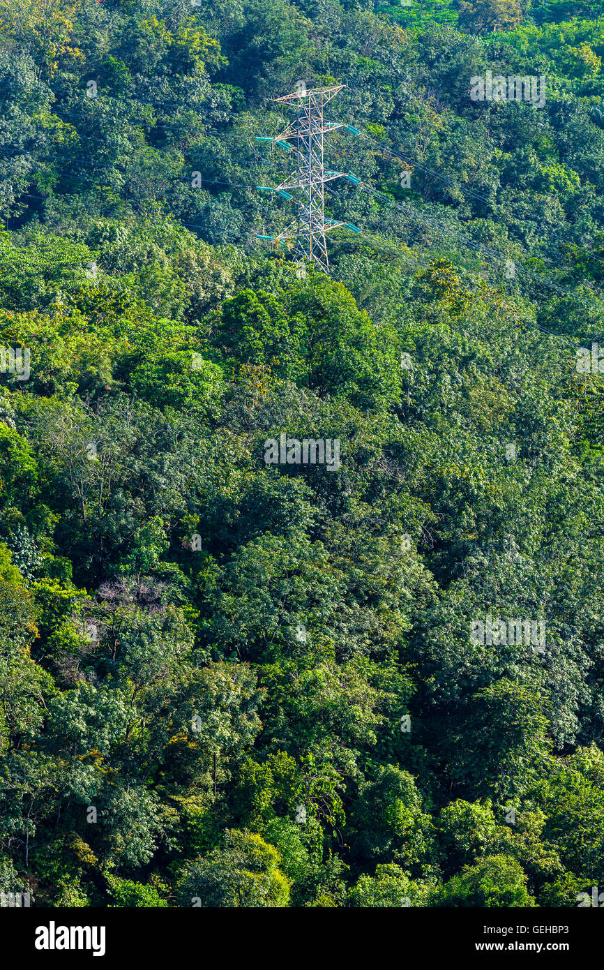 Power lines and tower in a tropical forest 3 Stock Photo
