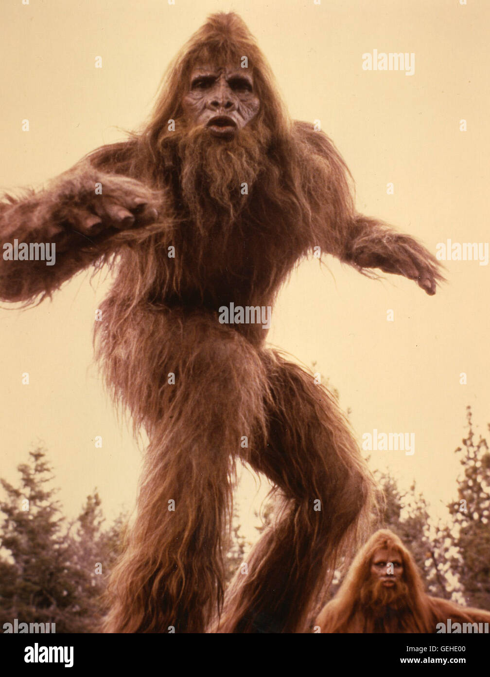 Szenenbild, Bigfoot, Auf Der Suche Nach Bigfoot Stock Photo