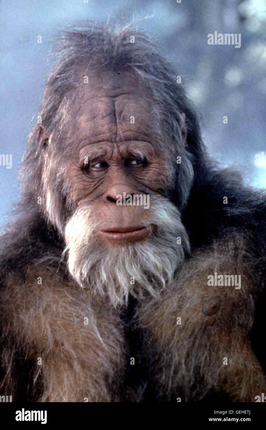 Harry (Kevin Peter Hall) *** Local Caption *** 1987, Harry And The Hendersons, Bigfoot Und Die Hendersons Stock Photo