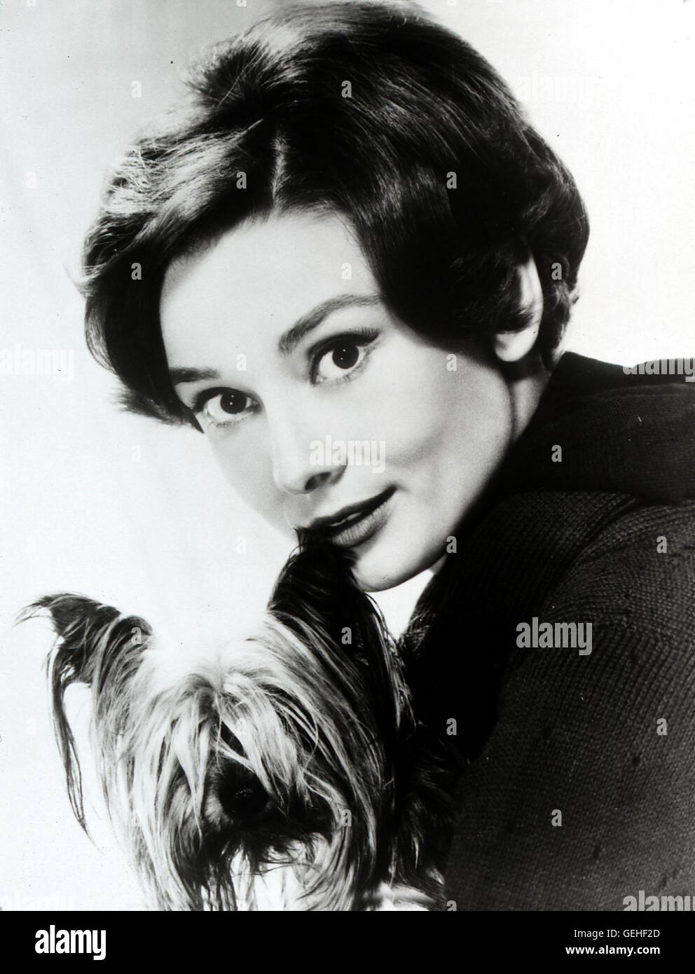 AUDREY HEPBURN, 50er Jahre Publicity Shot *** Local Caption *** 0, Hepburn,  Audrey, Audrey Hepburn Stock Photo - Alamy