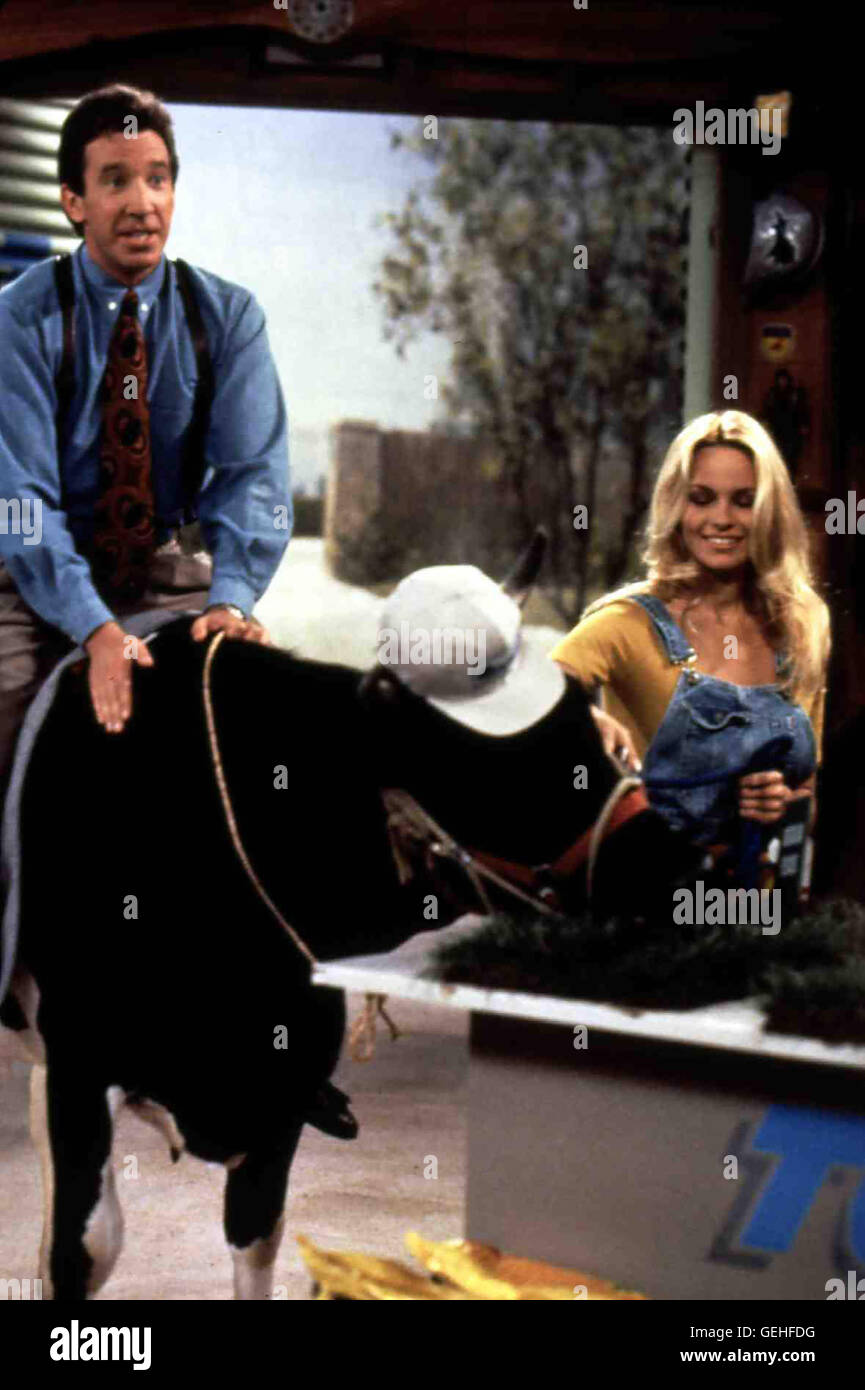 Tim Allen, Pamela Anderson *** Local Caption *** 1991, 1990er, 1990s, Home Improvement - Year 1, Kuh, cow, Hör' Mal, Wer Da Hämmert Stock Photo