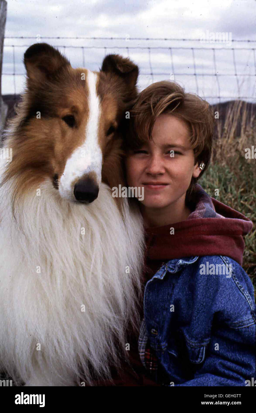 546 Lassie Film Stock Photos, High-Res Pictures, and Images