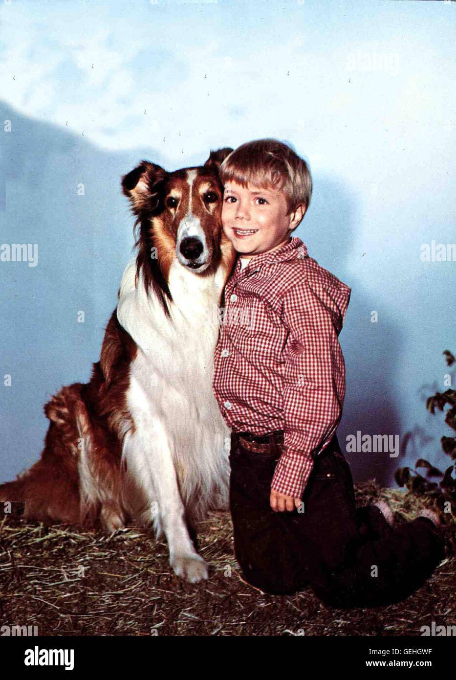 Hund Lassie, Jon Provost *** Local Caption *** 1963, 1960er, Collie, Film,  Hund, Kind, Lassie's Great Adventure, dog, kleiner Junge, little boy,  Lassies Groesstes Abenteuer Stock Photo - Alamy