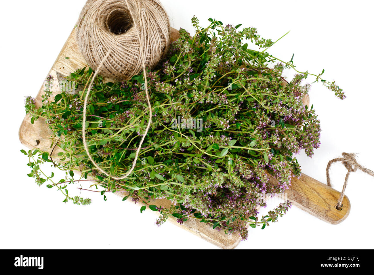 Flowers and Stems of Thyme Stock Photo Alamy