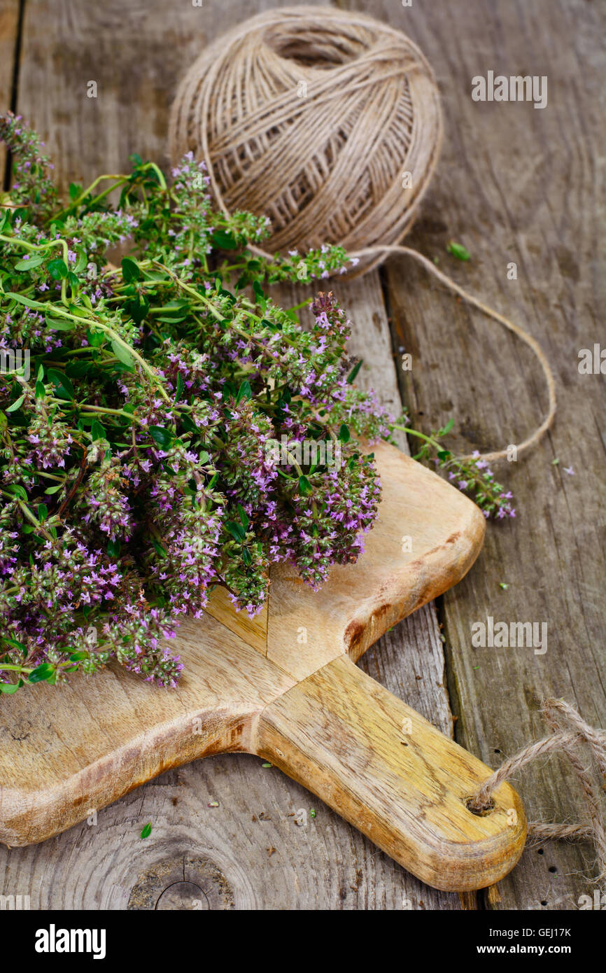 Flowers and Stems of Thyme Stock Photo Alamy